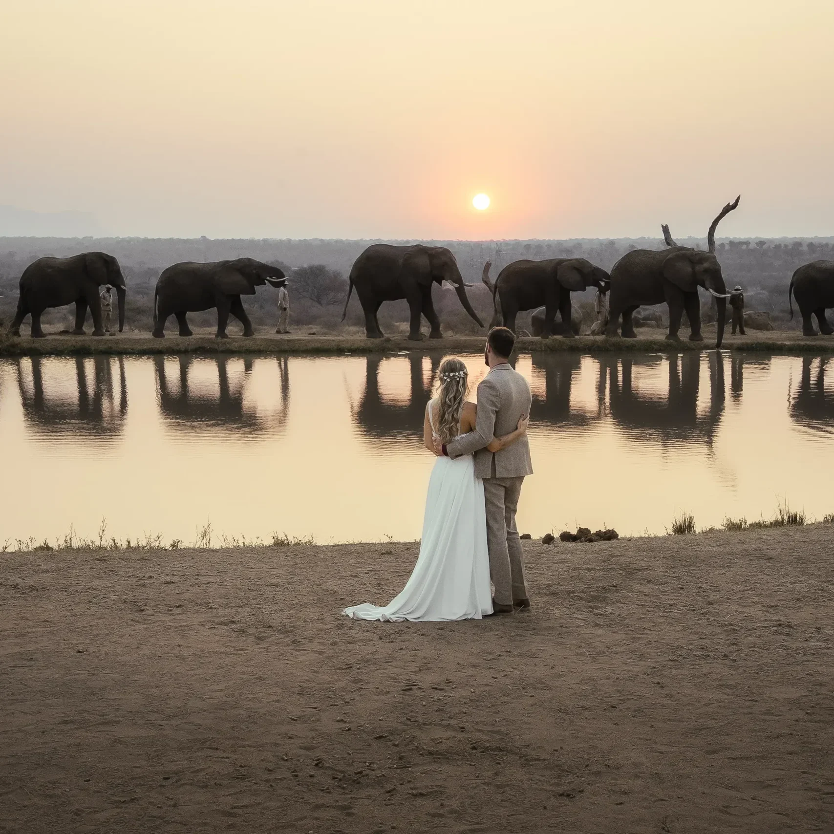 Safari elopement in South Africa at Jabulani Resort with bride and groom watching elephants at sunset