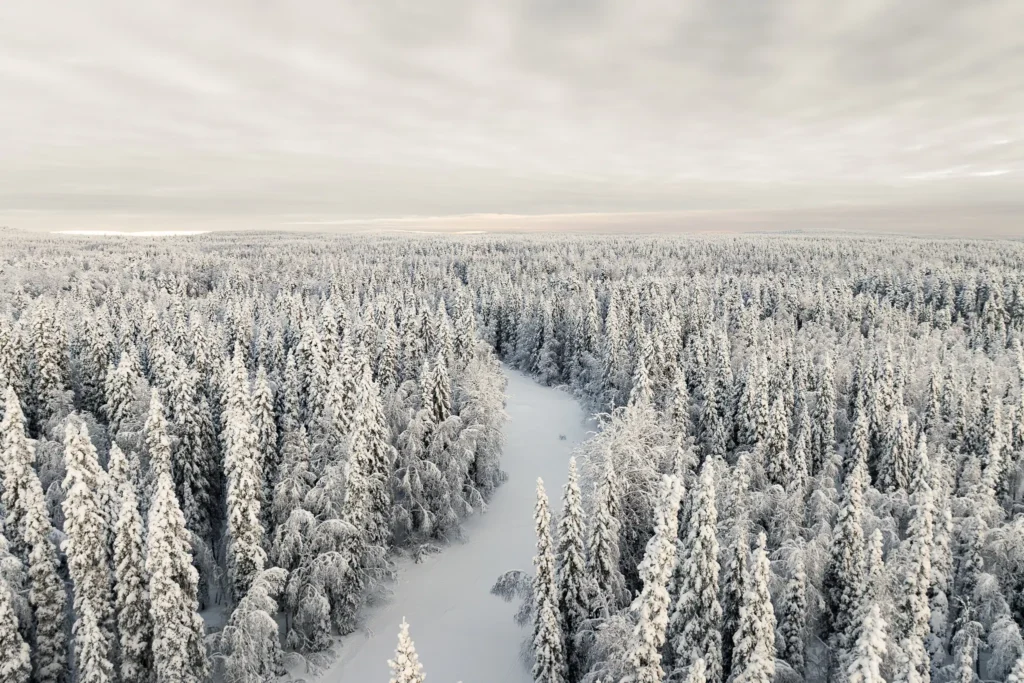 View of the winter Lapland landscape with forest and frozen river