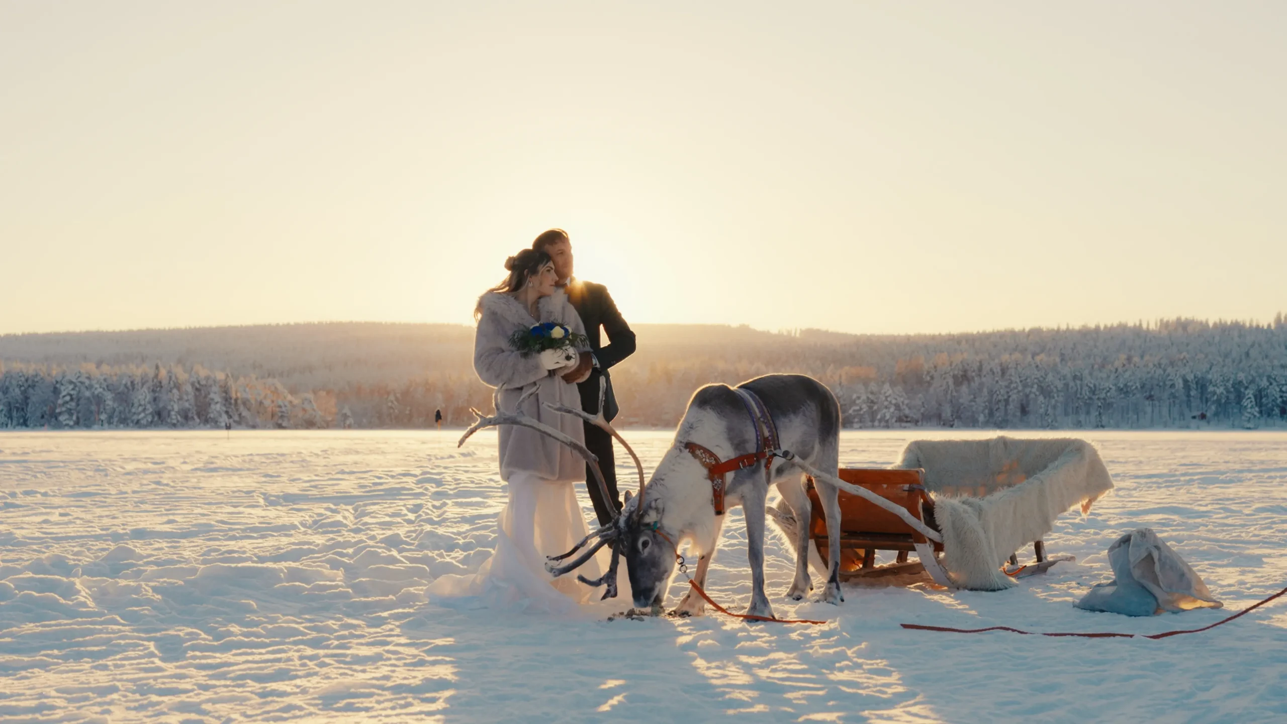 Wedding couple with a reindeer on a frozen lake in Lapland