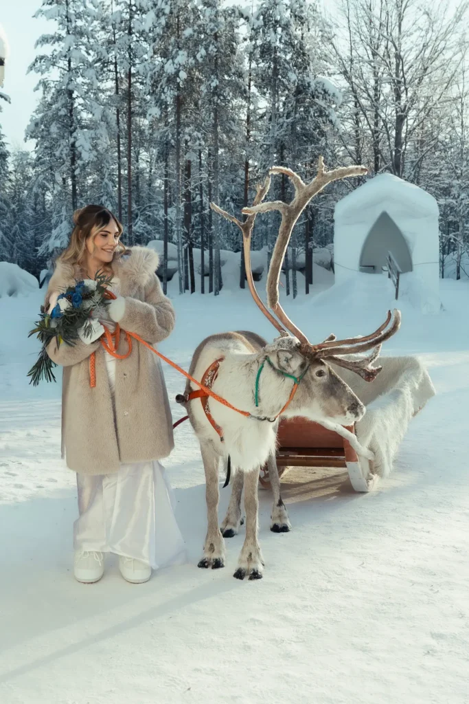 Bride with reindeer sleigh in Rovaniemi, Lapland winter wedding