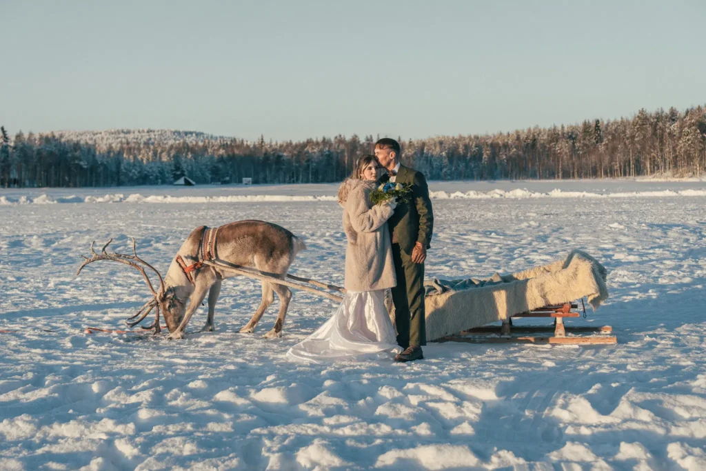 Wedding couple with a reindeer on a frozen lake in Lapland