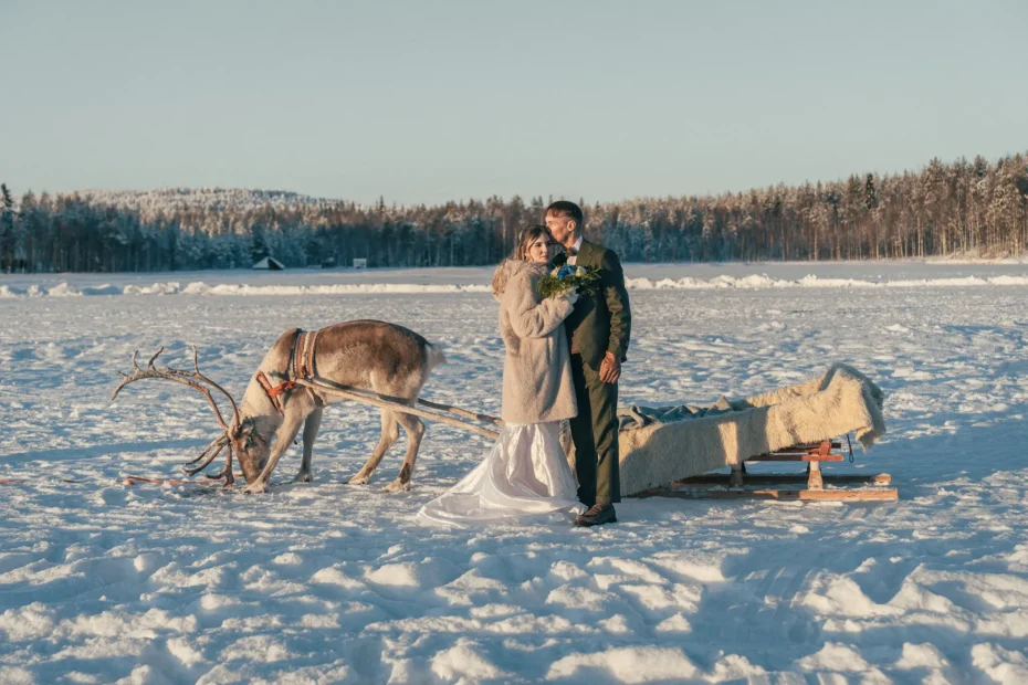 Wedding couple with a reindeer on a frozen lake in Lapland